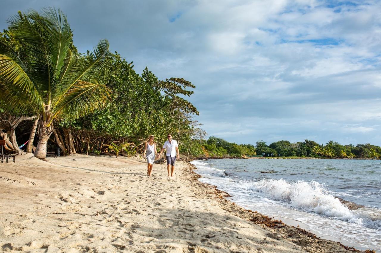 Mariposa Belize Beach Resort Placencia Dış mekan fotoğraf